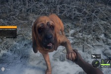 この愛犬すごいかわいいぞ！狩猟シム『theHunter: Call of the Wild』の狩猟犬DLC「Bloodhound」配信開始 画像