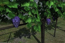 『FF14』から失われた「ローポリすぎるブドウ」をペーパークラフトで再現するユーザー現る！ 画像