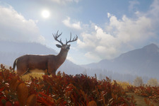 これは地味に便利！狩猟シム『theHunter: Call of the Wild』Steam版にゲーム内DLCストアベータ版実装―本編＆DLCのセールも実施中 画像