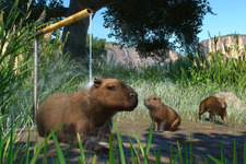 カピバラやコツメカワウソも登場！動物園SLG『プラネット ズー』最新DLC「湿地動物パック」配信 画像