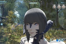 本当に一人で遊べるの？『FF14 新生エオルゼア』をソロでプレイしてみた #1 【基本解説編】 画像