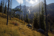 オープンワールド狩猟SLG『Way of the Hunter』PC版が発売！リリーストレイラーもお披露目 画像