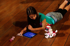 請求書を見て顔面蒼白…『Roblox』で知らぬ間に約43万円が使用される 画像