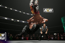 ユークス開発AEW公式プロレスゲーム『AEW: Fight Forever』スイッチパッケージ版発売 画像