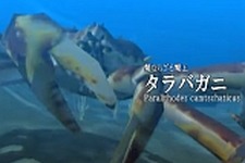 めざせ甲殻キング！『ネオアクアリウム-甲殻王-』がSteam Greenlightに登場 画像