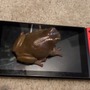 ゲーム機にカエルが乗っちゃったらどうしよう！？…いつか使えるかもしれない謎チュートリアルが注目集める