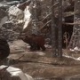 『Rise of the Tomb Raider』14分半の海外向けゲームプレイ映像が公開、雪山でのサバイバル