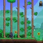 PC版『Terraria』最終段階では公式Modサポートを検討―海外インタビューより明らかに