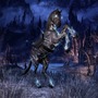 白金の塔も攻略可能！『TES Online』新拡張「Imperial City」PC向けに配信