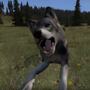 SA版『DayZ』に実装予定の「捕食動物」ティーザー映像が公開―開発進捗報告