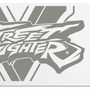 『ストリートファイターV』コラボデザインのPS4本体が2月に発売―リュウやネカリ、春麗とララの全4種
