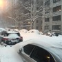 豪雪に見舞われた現実のニューヨークが『ディビジョン』さながらの光景に