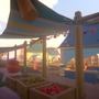 美しい島を救うオープンワールド新作『Yonder』PC/PS4で7月海外リリース