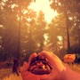 火災監視員が巻き込まれるミステリーADV『Firewatch』国内向けPS4版発売決定