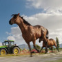 仕事の時間だ！ 農業シム最新作『Farming Simulator 19』トレイラー【E3 2018】
