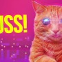 子ネコを救う前衛的サイケデリックパズル『PUSS!』8月3日配信ー10時間に及ぶ狂気のローンチトレイラーも