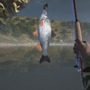 釣りシミュレーター『Ultimate Fishing Simulator』「本作の魚は一心不乱にガッツリ食いつきます！」【注目インディーミニ問答】