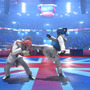 テコンドーを題材にしたスポーツACT『Taekwondo Grand Prix』がSteam配信！