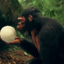 人類進化の旅を辿る新作ADV『Ancestors: The Humankind Odyssey』最新映像！