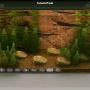 アクアリウムシミュレータ『Biotope』プレイレポート！PC上で観賞魚を飼育して癒されよう…