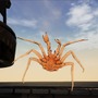 カニ漁シム『Deadliest Catch: The Game』Kickstarter開始!「ベーリング海の一攫千金」のゲーム版