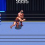 懐かしゲーム『WWFレッスルフェスト』精神的続編『RetroMania Wrestling』がライセンス契約を締結、本物の続編に……