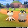 『ポケモン ソード・シールド』個性あふれるNPCのキャンプに突撃取材！ポケモン好きにはたまらない楽園、何度でも足を運んじゃう