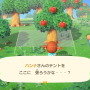 『あつまれ どうぶつの森』Directで発表された最新情報まとめ―お馴染みのマイホームや住民たちがプレイヤーを待つ！もちろんローン返済も…