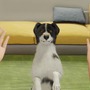 ワンちゃんを子犬から育てる『Dog Trainer』発表! 犬を飼うことの喜びと責任を体験