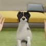 ワンちゃんを子犬から育てる『Dog Trainer』発表！ 犬を飼うことの喜びと責任を体験