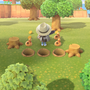『あつまれ どうぶつの森』シリーズ初心者必見！空飛ぶ風船や蜂・タランチュラの対処方法は？8つの細かな疑問にお答え