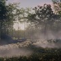 『Ghost of Tsushima』はあらゆる瞬間が“絶景”！ フォトモードなしでも、世界はこんなに美しい・・・