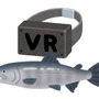 【大喜利】『VRヘッドセットが鮮魚だったときにありがちなこと』審査結果発表！