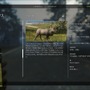 ニホンジカも狩猟可能！『theHunter: Call of the Wild』ニュージーランド舞台の新DLC「Te Awaroa National Park」配信開始