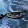 宇宙シム『X4: Foundations』にて大型DLC「X4: Cradle of Humanity」配信開始！テラン派閥の追加で世界が拡張する