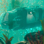 正式発売迫る海洋サバイバル『Subnautica: Below Zero』異変が起こる前の生活を描くシネマティックトレイラー公開