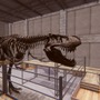 恐竜化石発掘＆復元シム『Dinosaur Fossil Hunter』のワクワク感がたまらない。シミュレーターらしい「ジャンル的発見」も【Steam Nextフェス】