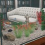 アクアリウム制作シム『Aquarium Designer』Steamにて配信開始！エンゼルフィッシュ、ベタ、金魚など可憐な魚がずらり