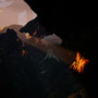北欧民話ベースの美しきホラーADV『Bramble: The Mountain King』プレイ動画公開