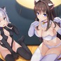 美少女忍者恋愛ADV『NinNinDays2』がSteamで1月21日に配信決定―友情、涙にすこしエッチなイベントも