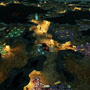 蟻地獄ストラテジー『Empires of the Undergrowth』大型アップデート「Fire Ant」7月27日リリース―沼地を舞台に2つのミッション導入