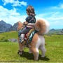 『FF14』「大柴犬」マウントが全世界で人気ランキング1位商品に！ベストセラーをおさえて大ヒット