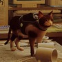 あなたのネコちゃんも『Stray』に出演！？依頼者の飼い猫のキャラスキンModを作成するModder現る