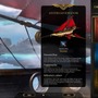 空戦・交易シム『Airship: Kingdoms Adrift』体験版プレイレポ―艦船設計や戦闘が魅力的【Steam NEXTフェス】