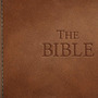 Steamに世界最大のベストセラー『聖書』が登場―フォーラムには復活持ち＋無限ワインのキリスト弱体化を望む声も