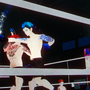 VRCボクシングは見やすく公平かつラグのない試合を実現するためボクサー専用アバターを使用する。