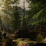 ゴミ拾いなどで美しい森を守る自然保護官シム『Forest Ranger Simulator』のKickstarterが近日スタート