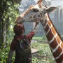 ドラマ​​「THE LAST OF US」に登場するキリン、本物だった！ゲームにも登場した印象的なシーンを実写で再現