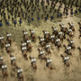 帝国への道は豊かな街づくりから！1000人規模MMO中世攻城戦RPG『Anvil Empires』発表―開発元前作は人気WW2MMO『Foxhole』