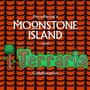 『テラリア』とのコラボも！2Dドットライフシム『Moonstone Island』新映像公開―箒で島々を飛び回り、精霊集めにカードバトル！【Wholesome Direct】